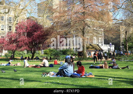 Gordon Square Gardens è parte del Bedford Estate in Bloomsbury e appartiene all'Università di Londra, nel Regno Unito Foto Stock