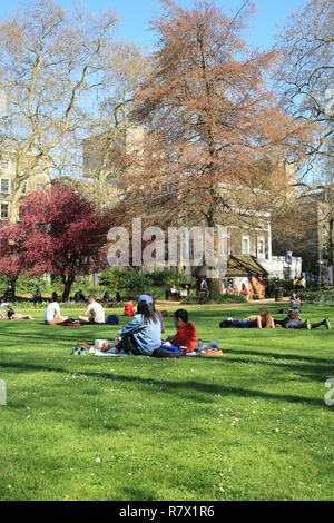 Gordon Square Gardens è parte del Bedford Estate in Bloomsbury e appartiene all'Università di Londra, nel Regno Unito Foto Stock