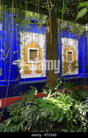 Il Marocco Marrakech Safi, Marrakech, il giardino Majorelle è un giardino botanico di ispirazione turistica giardino islamico e un museo della cultura berbera. Esso porta il nome del suo fondatore, il pittore francese Jacques Majorelle (1886-1962), che ha creato nel 1931. Fondation Pierre Berge Yves Saint Laurent Foto Stock