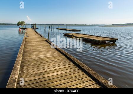 Francia, Landes, Soustons, pontoon avanzante sul lago della città Foto Stock