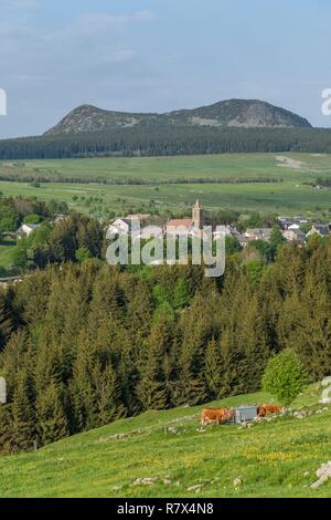 Francia, Haute Loire, Les Estables, Fin Gras di Mezenc, Mezenc Mount in background, Parc naturel regional des Monts d'Ardeche (riserva naturale regionale dei monti di Ardeche) Foto Stock