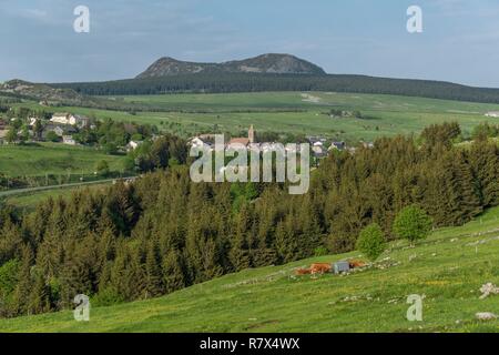 Francia, Haute Loire, Les Estables, Fin Gras di Mezenc, Mezenc Mount in background, Parc naturel regional des Monts d'Ardeche (riserva naturale regionale dei monti di Ardeche) Foto Stock