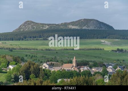 Francia, Haute Loire, Les Estables, Fin Gras di Mezenc, Mezenc Mount in background, Parc naturel regional des Monts d'Ardeche (riserva naturale regionale dei monti di Ardeche) Foto Stock