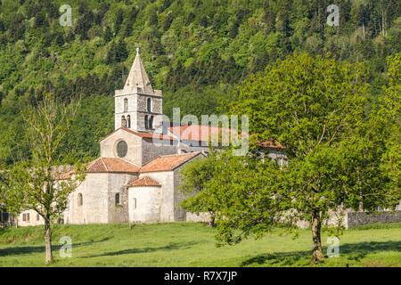 Francia, Drome, riserva naturale regionale del Vercors, abbazia cistercense di Sainte Marie de Leoncel del XI secolo Foto Stock