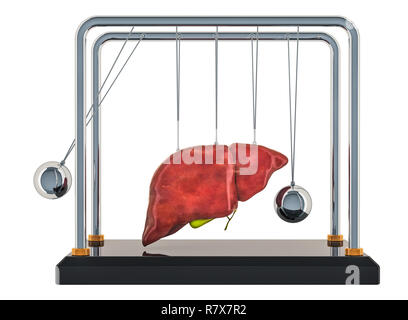Di Newton a culla con fegato. Il dolore nel fegato, malattie epatiche concetto. 3D rendering isolati su sfondo bianco Foto Stock