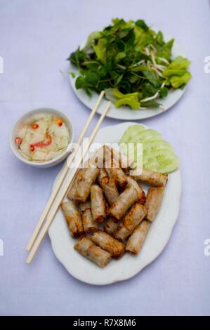 Il Vietnam, Hanoi, maiale fritto involtini primavera Foto Stock