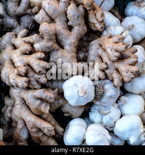 Radice di Zenzero e bulbi di aglio. Alimenti naturali, naturale Verdure, ortaggi biologici Foto Stock