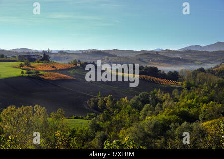 Le Langhe piemontesi in autunno con i suoi vigneti e le sue colline Foto Stock