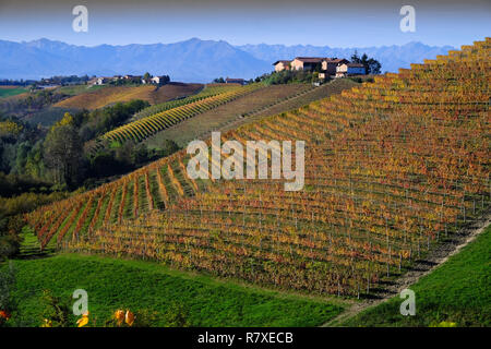 Le Langhe piemontesi in autunno con i suoi vigneti e le sue colline Foto Stock