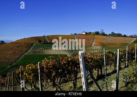 Le Langhe piemontesi in autunno con i suoi vigneti e le sue colline Foto Stock