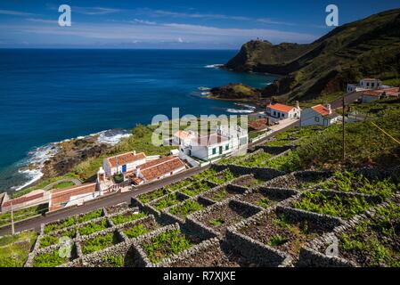 Portogallo Azzorre, Santa Maria Island, Maia, vista in elevazione della città e di roccia vulcanica vigneti Foto Stock