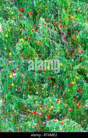 Dettaglio della bella naturale Natale rami di alberi coperti in colorate luci festive Foto Stock