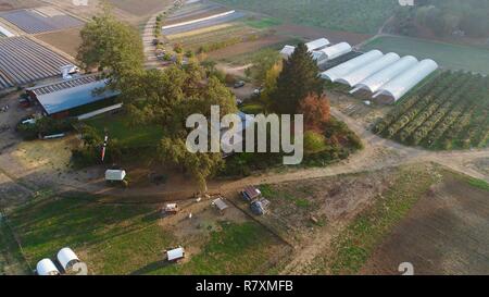 Foto aerea del capannone di imballaggio, serre, hoop case, bestiame & agriturismo a portico anteriore Farm su 110 acri, Healdsburg, California, Stati Uniti d'America. Foto Stock