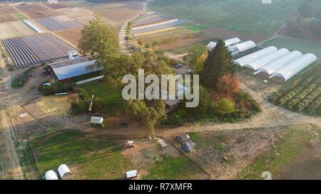 Foto aerea del capannone di imballaggio, serre, hoop case, bestiame & agriturismo a portico anteriore Farm su 110 acri, Healdsburg, California, Stati Uniti d'America. Foto Stock