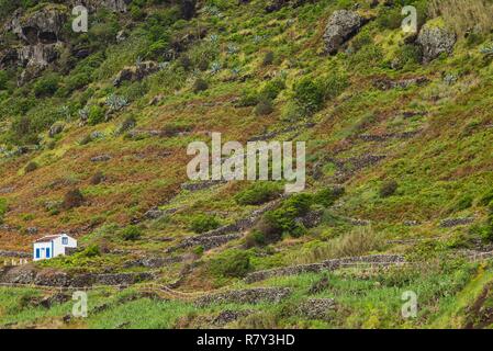 Portogallo Azzorre, Santa Maria Island, Maia, vista in elevazione della città e di roccia vulcanica vigneti Foto Stock
