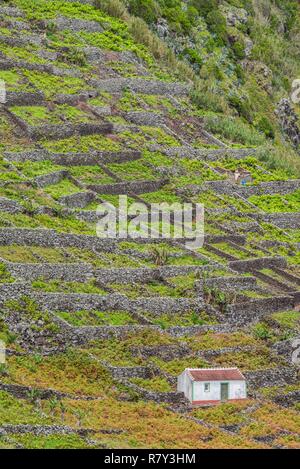 Portogallo Azzorre, Santa Maria Island, Maia, vista in elevazione della città e di roccia vulcanica vigneti Foto Stock