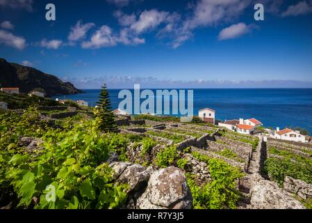 Portogallo Azzorre, Santa Maria Island, Maia, vista in elevazione della città e di roccia vulcanica vigneti Foto Stock