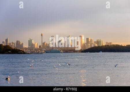 Uno stormo di uccelli vola sopra il mare come la sera sun riflette degli edifici del Quartiere Affaristico Centrale di Sydney, Nuovo Galles del Sud, Australia Foto Stock