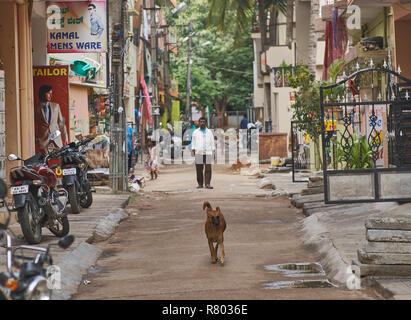 Un cane e un uomo su una piccola strada nel centro di Bangalore. Foto Stock