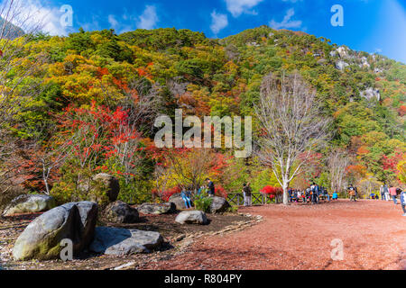 Yamanashi, Giappone - 10 Novembre 2018: Turisti escursioni nel parco nazionale, la destinazione di viaggio per turismo, in autunno a Yamanashi, Giappone Foto Stock