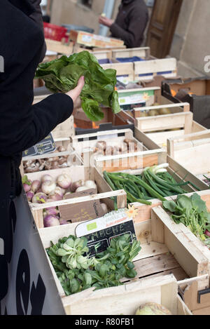 Privas (sud-est della Francia): mercato del sabato mattina. Pressione di stallo di verdura biologica. La mano di un cliente, donna, tenendo una lattuga. Foto Stock