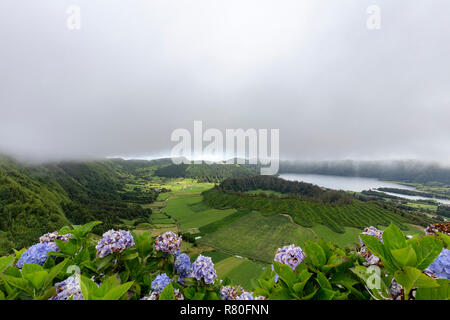 Blu e viola e hyndrangeas con il Seca caldera e Lagoa Azul nella distanza in Sao Miguel. Foto Stock