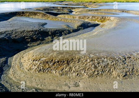 Insenatura di marea in mare di Wadden presso il tedesco della costa del Mare del Nord. Schleswig-Holstein, Germania Foto Stock
