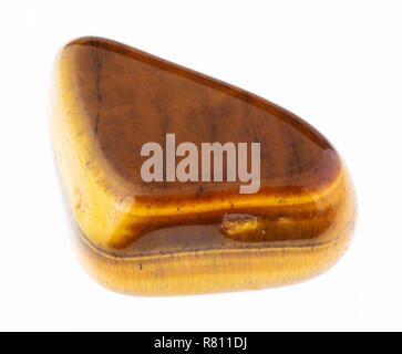 La fotografia macro di naturale minerale da collezione geologica - burattati occhio di tigre (occhio di tigre) gem pietra su sfondo bianco Foto Stock