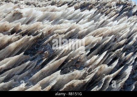 Texture della montagna di sale, Sovata, Mureş contea, Transilvania, Romania Foto Stock