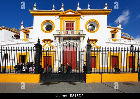 Bullring La Real Maestranza, Plaza de Toros, Siviglia, Andalusia, Spagna Foto Stock