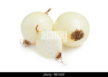 Onion. Cipolle fresche isolato su uno sfondo bianco. Foto Stock