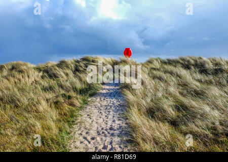 Al centro di un percorso di sabbia con un sacco di orme corre attraverso lunghi giallo Erba spazzate dal vento dune di sabbia coperte alla fine del percorso è un luminoso r Foto Stock