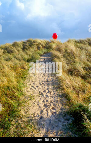 Al centro di un percorso di sabbia con un sacco di orme corre attraverso lunghi giallo Erba spazzate dal vento dune di sabbia coperte alla fine del percorso è un luminoso r Foto Stock