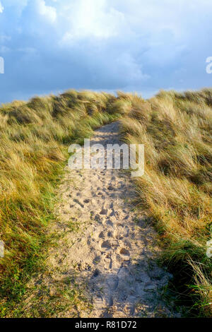 Al centro di un percorso di sabbia con un sacco di orme corre attraverso lunghi giallo Erba spazzate dal vento dune di sabbia coperte dietro è di colore blu con il bianco e il grigio c Foto Stock