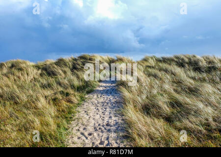 Al centro di un percorso di sabbia con un sacco di orme corre attraverso lunghi giallo Erba spazzate dal vento dune di sabbia coperte il cielo dietro è blu con un bianco Foto Stock