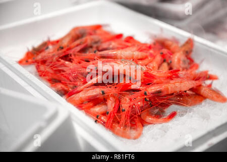 Gamberetti freschi frutti di mare o su ghiaccio al mercato di strada Foto Stock