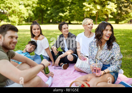 Happy amici con bevande al picnic nel parco di estate Foto Stock