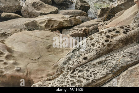 Close-up di lisci e ruvidi, sale-eroso massi di arenaria, alcuni con tafoni cavità, sulla costa rocciosa di Gabriola Island, British Columbia. Foto Stock