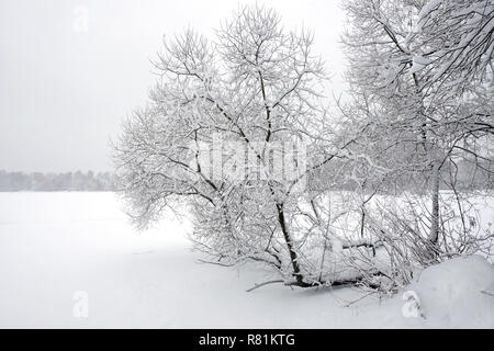 Bellissimo paesaggio con coperte di neve il percorso sul bordo della foresta e fiume congelato sotto nuvoloso giorno di inverno Foto Stock