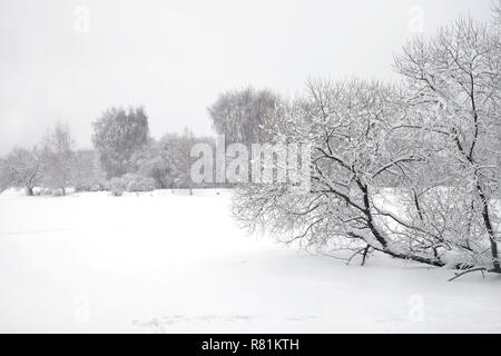 Bellissimo paesaggio con coperte di neve il percorso sul bordo della foresta e fiume congelato sotto nuvoloso giorno di inverno Foto Stock