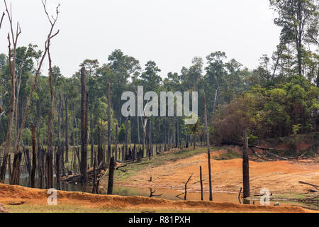 Thakhek, Laos - Aprile 20, 2018: gli alberi morti circondata da una foresta vicino a Nam Theun villaggio nel sud Laos durante la stagione secca Foto Stock