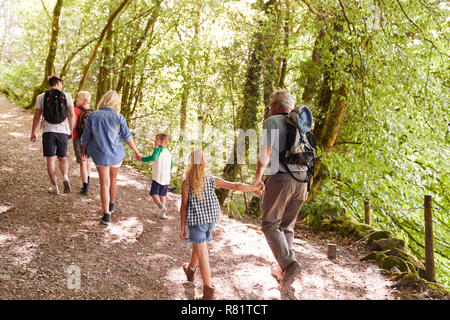 Vista posteriore del Multi generazione Famiglia godendo a piedi lungo il sentiero del bosco insieme Foto Stock