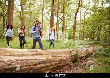 Multi etnico gruppo di cinque giovani amici adulti camminando in una foresta durante una escursione Foto Stock