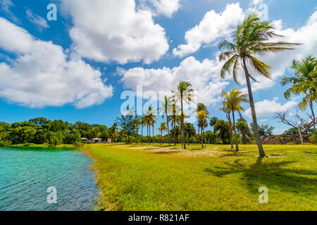 Palm e il lago paradiso in Snyder Park. Fort Lauderdale, Florida, Stati Uniti d'America Foto Stock