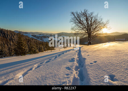 Inverno bellissimo paesaggio di Natale. Footprint umana tracciato in bianco cristallo di neve profonda in un campo vuoto, abete rosso della foresta di alberi, colline e montagne o Foto Stock