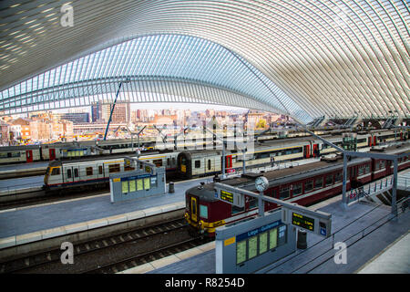 Stazione ferroviaria di Liegi, Gare de Liège-Guillemins, progettato dall'architetto spagnolo Santiago Calatrava, Luttich, Vallonia Foto Stock