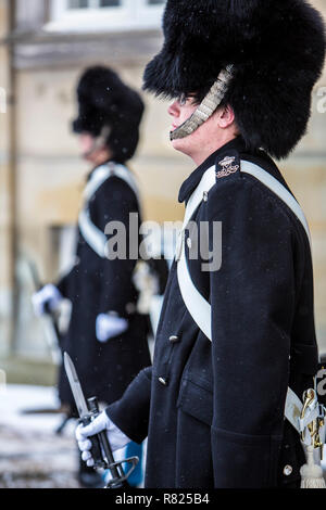 Cambio della guardia, royal guardie del corpo, cerimonia al di fuori di Amalienborg Royal Palace, Copenhagen Capital Region Danimarca Foto Stock