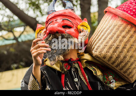 Un uomo che indossa una maschera di Carnevale di fronte al Palazzo del Doge  di Venezia, Italia Foto stock - Alamy