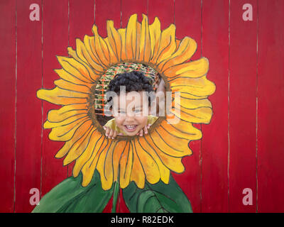 Un ragazzo felice guarda al di fuori di un intaglio di semi di girasole. Un felice ragazzo infila la testa fuori di un girasole sfinestratura per una foto mentre la sorella lo trattiene da dietro. Foto Stock