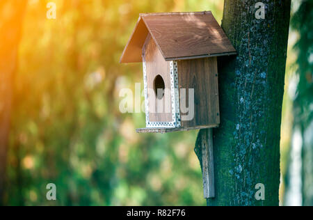 Legno marrone nuova casa di uccelli o nidificazione scatola fissata al tronco di albero in estate il parco foresta o sulla soleggiata sfocata fogliame verde sfondo bokeh di fondo. La fauna selvatica p Foto Stock